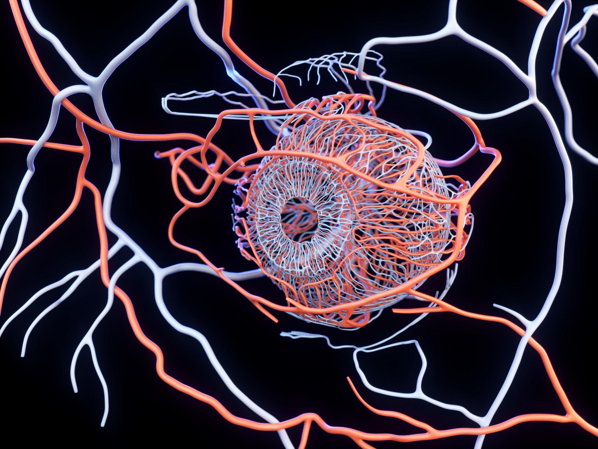 RMHAS vascular analytics